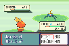 Pokemon Ruby Screenshot 1